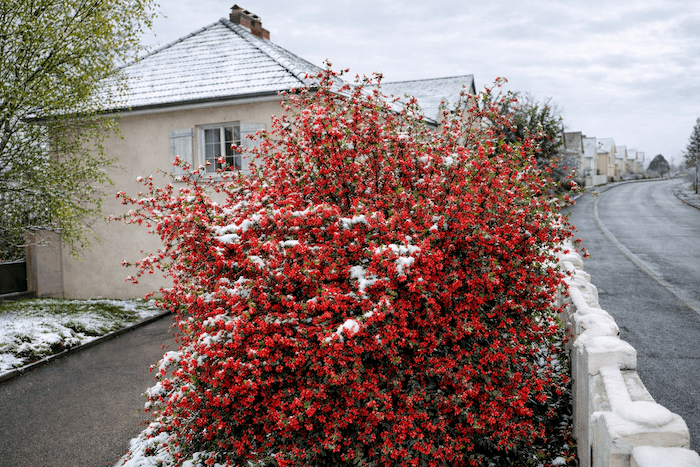 L'hiver peut-il encore revenir après le 15 avril ?