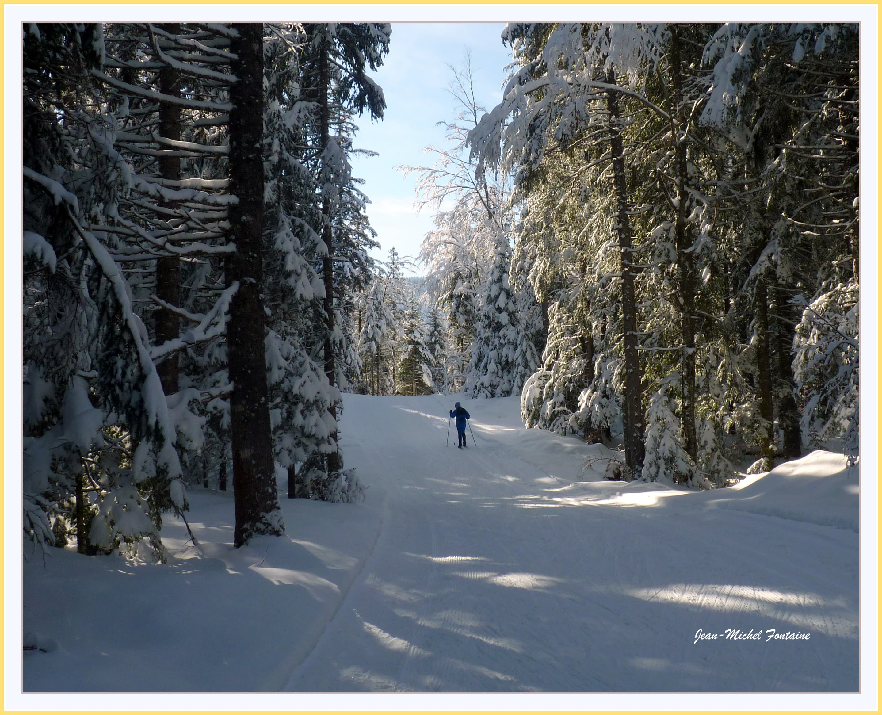skieur en seul en forêt