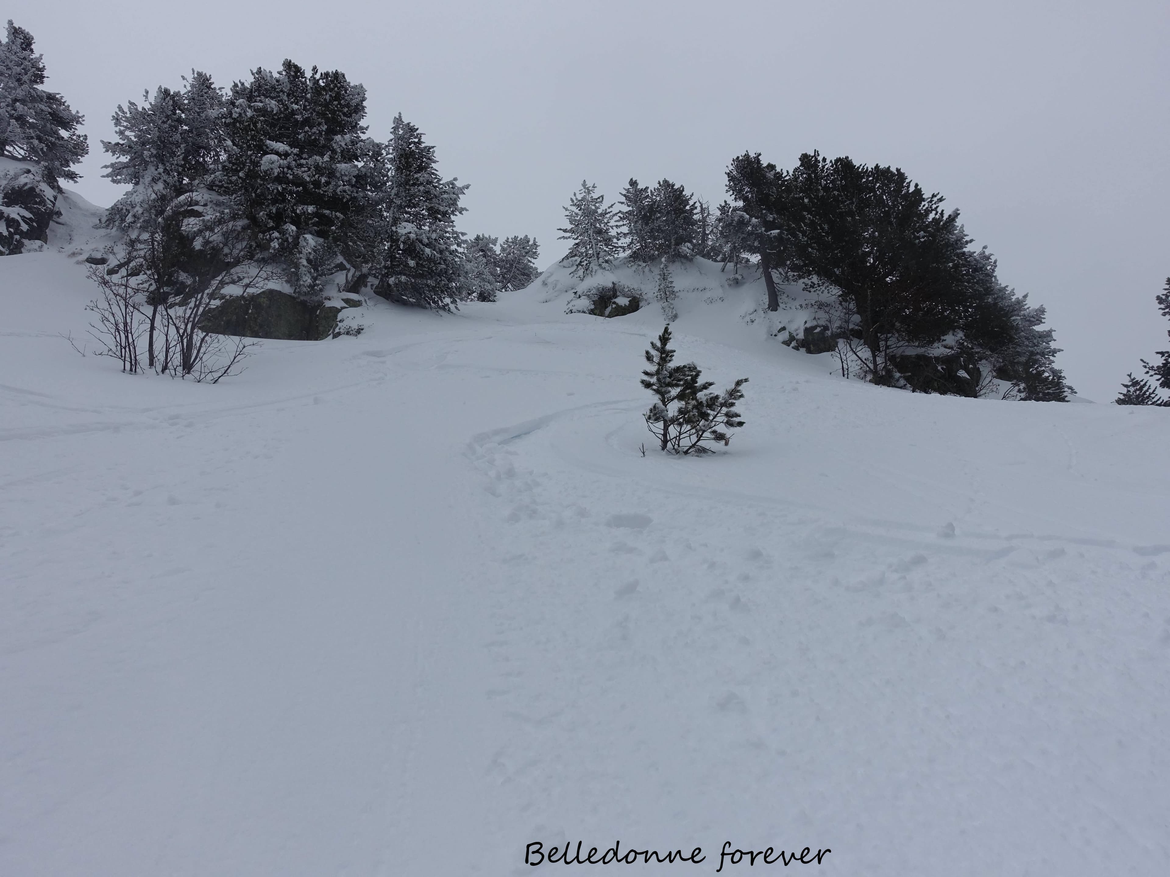 La poudreuse s'alourdie +1°c à 1650m et -1°c à 600m A.P.