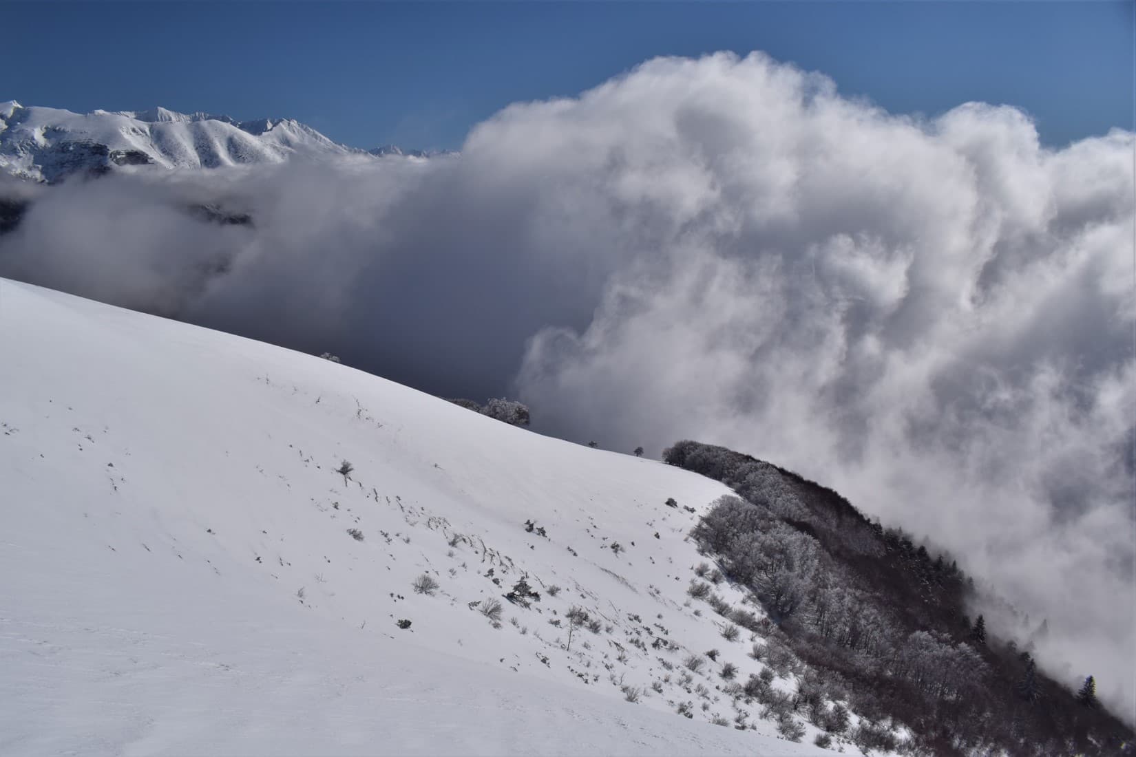 Grandes manoeuvres en Matheysine