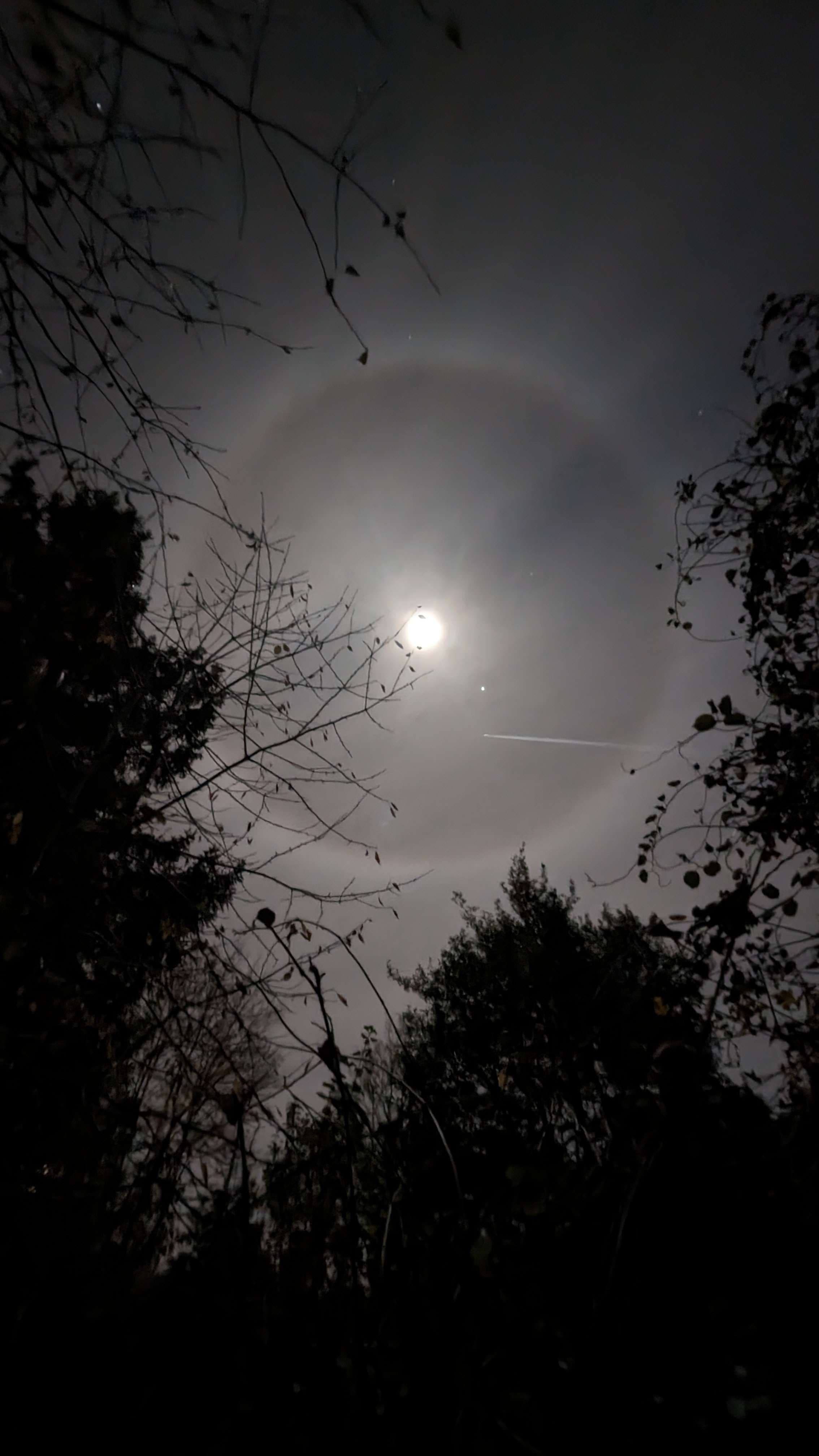 Halo lunaire