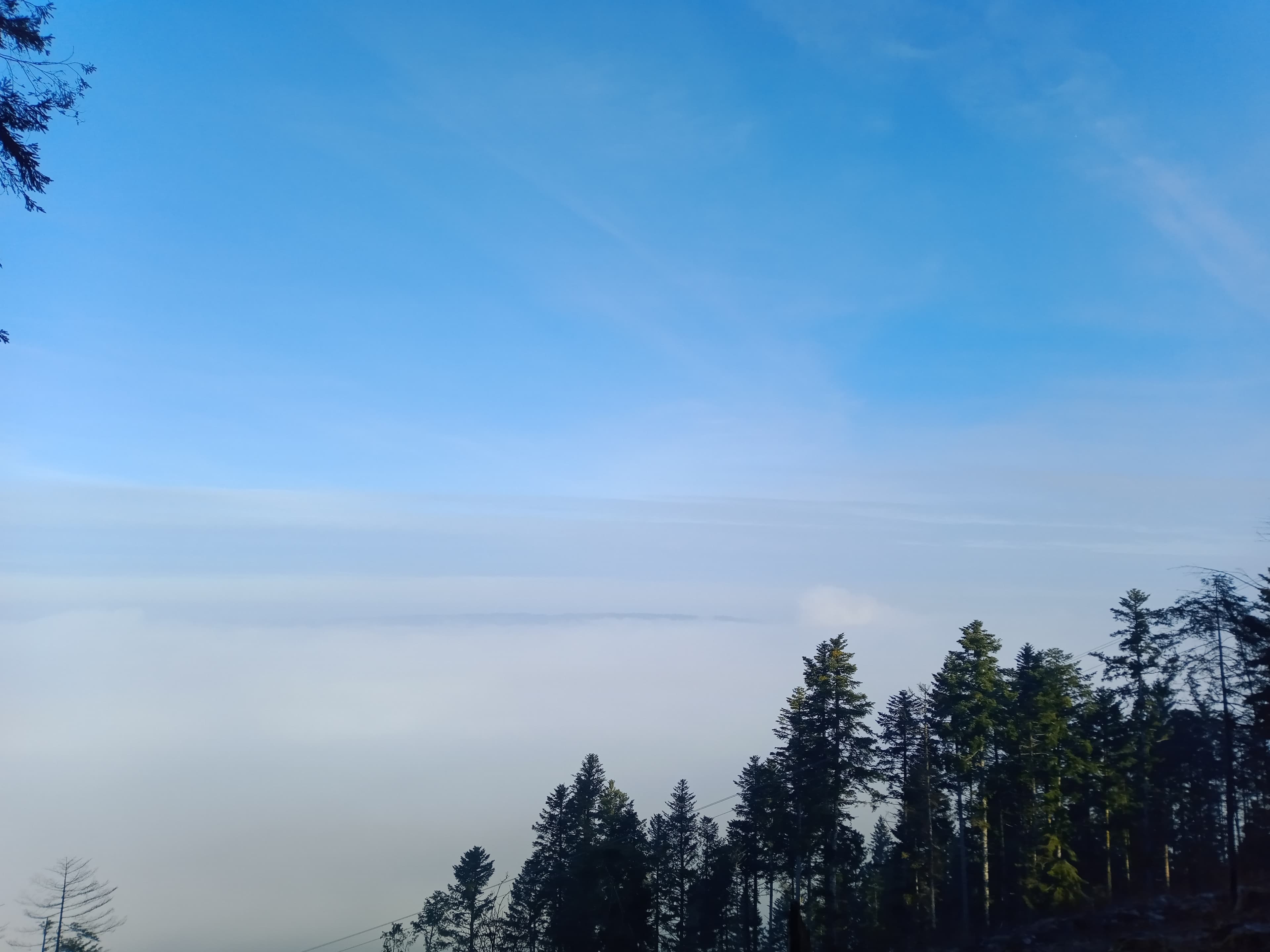 Brouillard