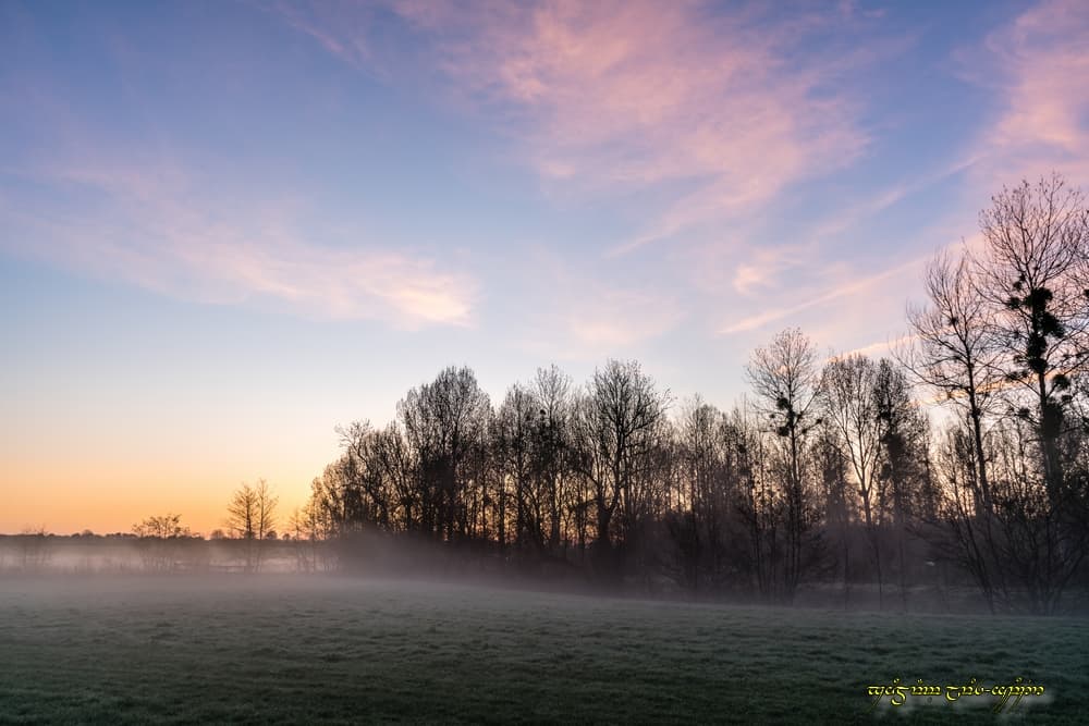 Cirrus colorés et petite nappe de brume