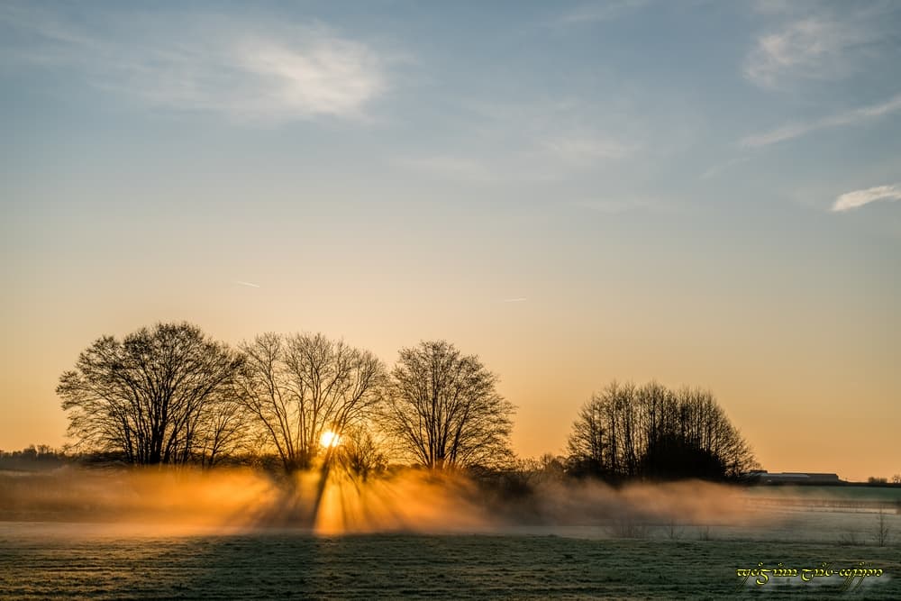 Coloration de la brume