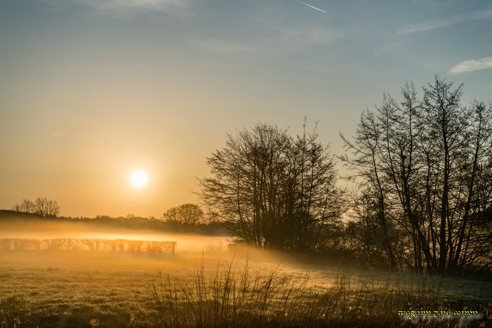 Le feu dans la brume
