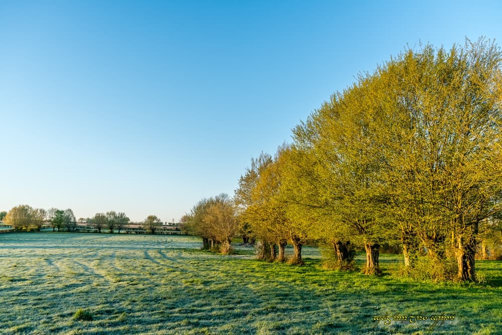 Frais le bocage, frais