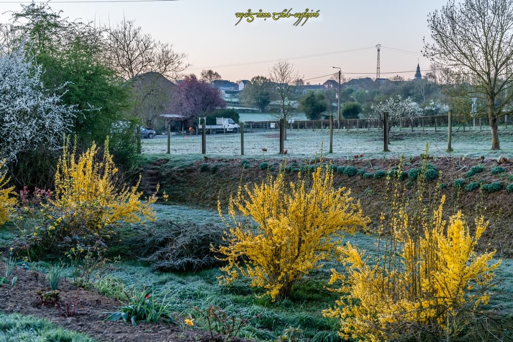 Coup de frais sur le printemps