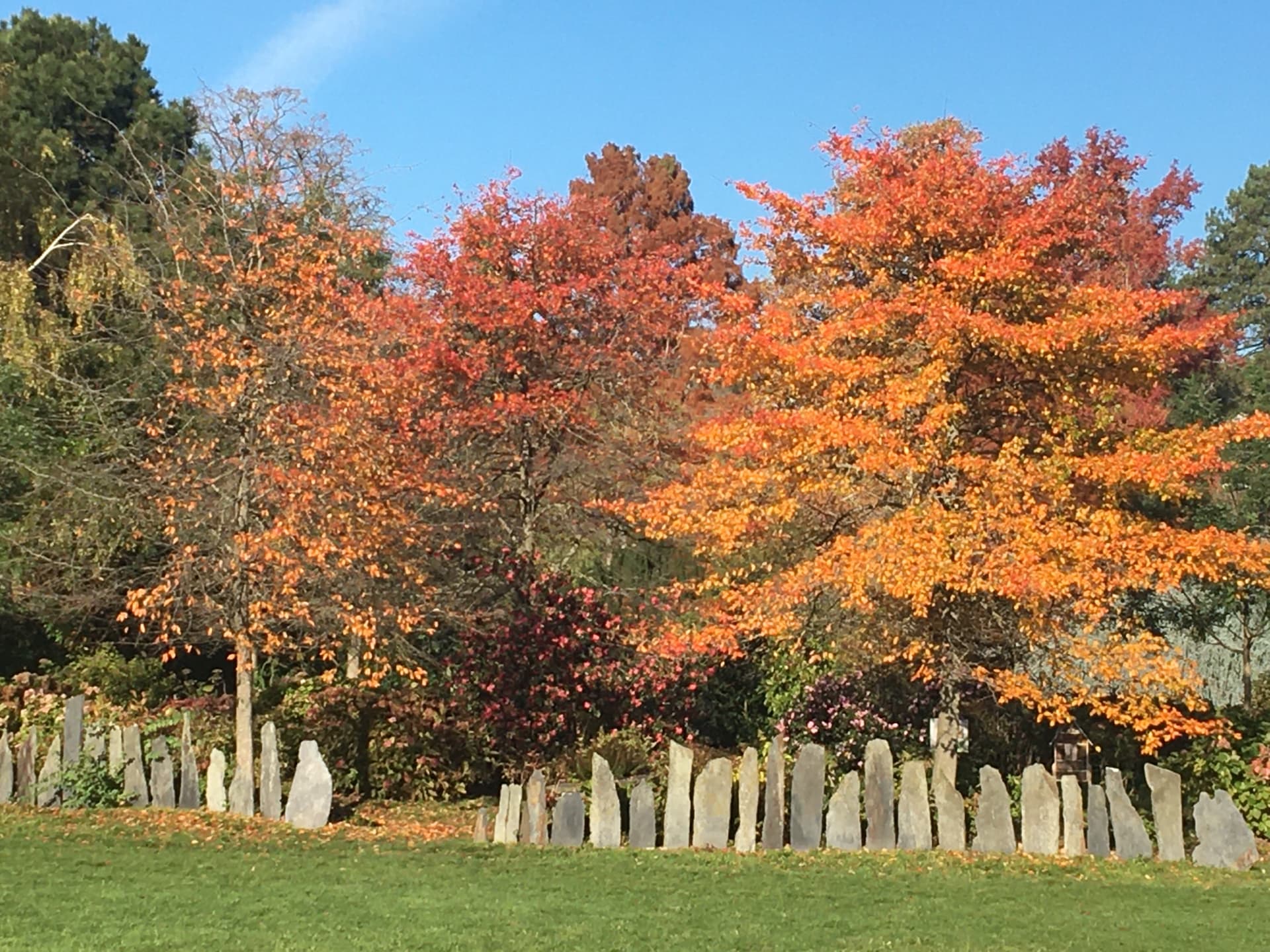 automne-a-larboretum