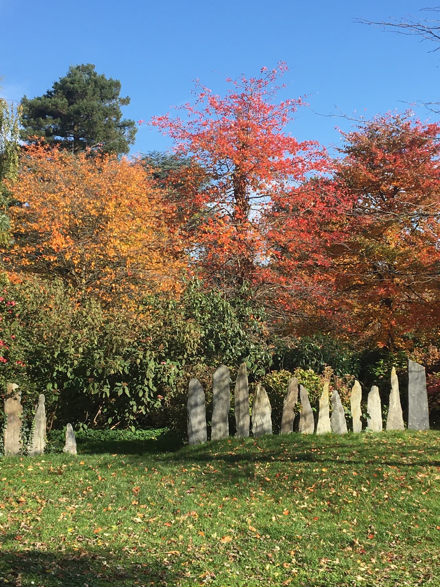 jour-dautomne-a-larboretum