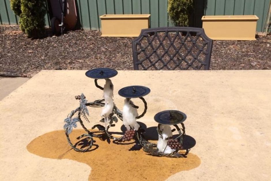 Image d'illustration pour Nouvelle canicule en Australie