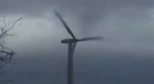 Image d'illustration pour Les conséquences de la douceur de ce début d'hiver