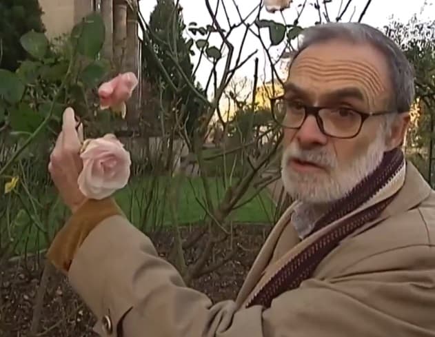 Image d'illustration pour Les conséquences de la douceur de ce début d'hiver