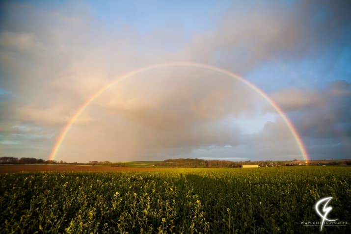 Image d'illustration pour Retour de la fraîcheur et des giboulées... d'avril