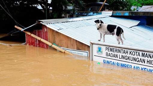 Image d'illustration pour Inondations meurtrières en Indonésie