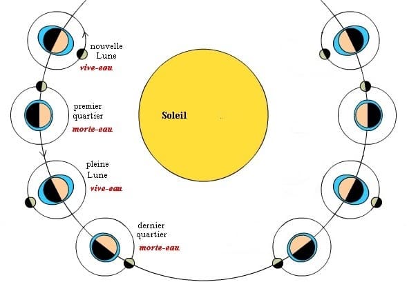 Image d'illustration pour Marées d'équinoxe : Quels risques y sont associés ?