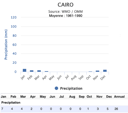 Image d'illustration pour L'Egypte en proie à des inondations meurtrières 