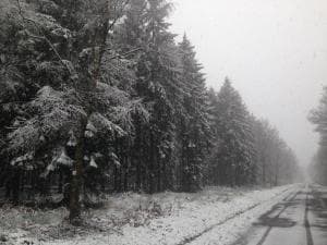 Image d'illustration pour Douceur au Sud - Neige sur les Ardennes