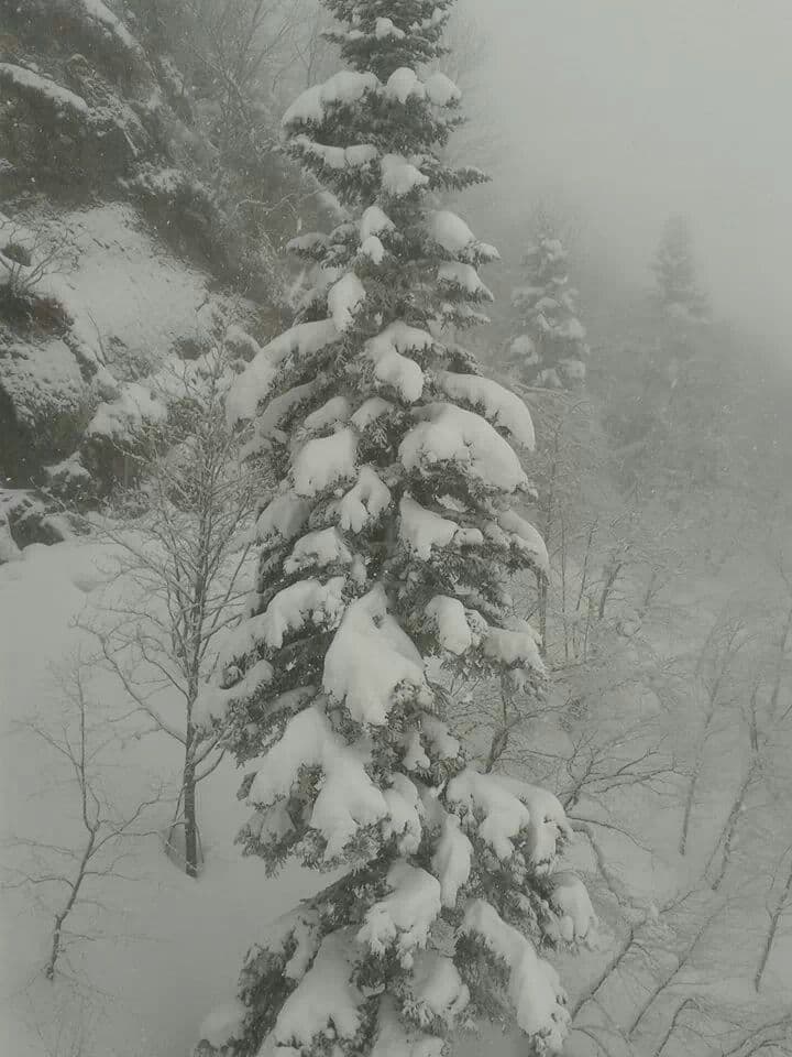 Image d'illustration pour Fortes pluies dans le Sud-Ouest - Neige sur les Pyrénées