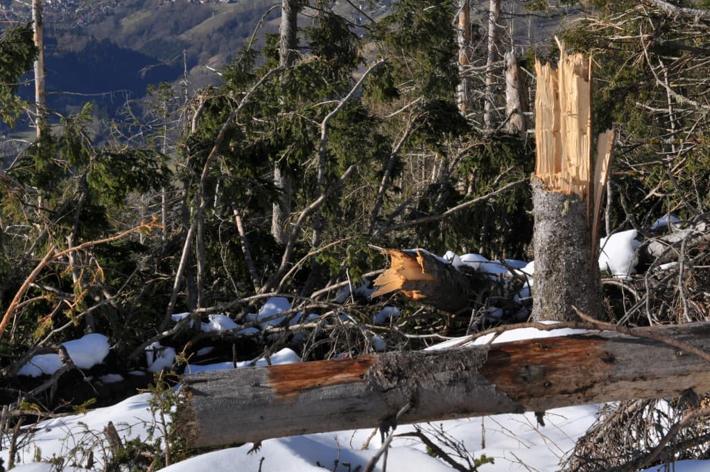 Image d'illustration pour Vos photos météo de la semaine