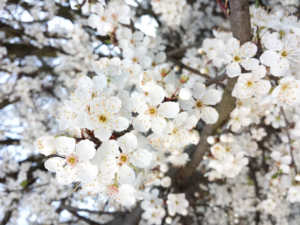 Image d'illustration pour Vos photos météo de la semaine
