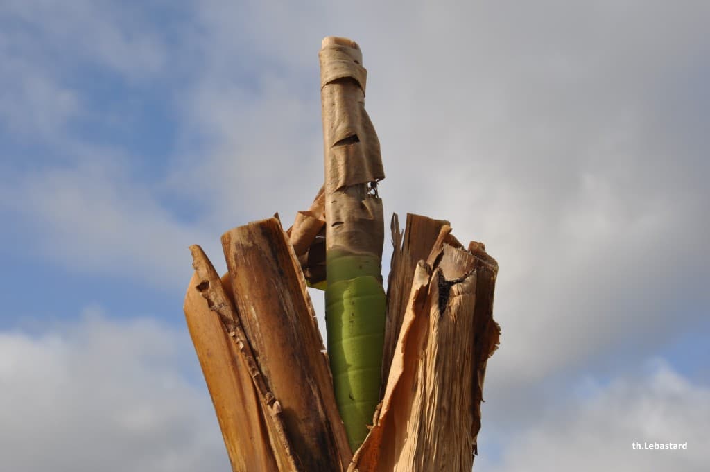 Image d'illustration pour Vos photos météo de la semaine