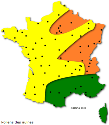 Image d'illustration pour Végétation en avance, pollens et allergies