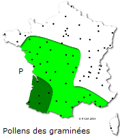 Image d'illustration pour Végétation en avance, pollens et allergies