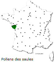 Image d'illustration pour Végétation en avance, pollens et allergies