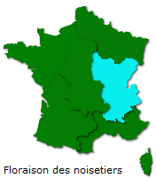 Image d'illustration pour Végétation en avance, pollens et allergies