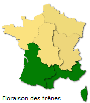 Image d'illustration pour Végétation en avance, pollens et allergies