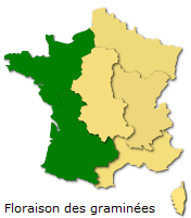 Image d'illustration pour Végétation en avance, pollens et allergies