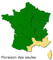 Image d'illustration pour Végétation en avance, pollens et allergies