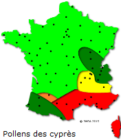Image d'illustration pour Marronnier de Genève, printemps, pollens et allergies