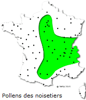 Image d'illustration pour Marronnier de Genève, printemps, pollens et allergies