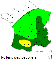 Image d'illustration pour Marronnier de Genève, printemps, pollens et allergies