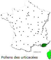 Image d'illustration pour Marronnier de Genève, printemps, pollens et allergies