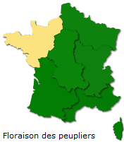 Image d'illustration pour Marronnier de Genève, printemps, pollens et allergies