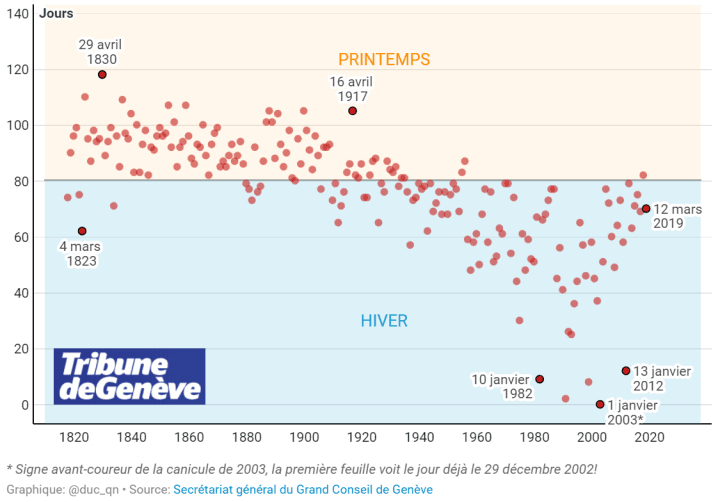 Image d'illustration pour Marronnier de Genève, printemps, pollens et allergies