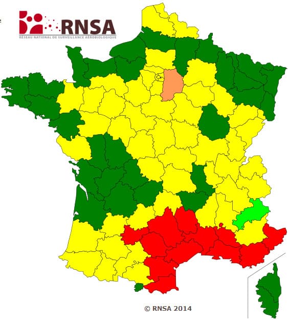Image d'illustration pour Printemps précoce : pollens et allergies