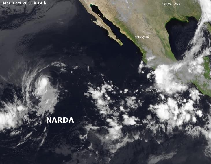 Image d'illustration pour Tempête tropicale Narda (Pacifique Est)