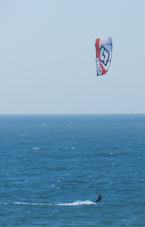Domino marin