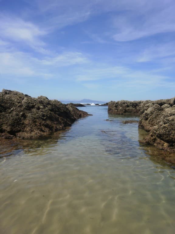 Marée basse
