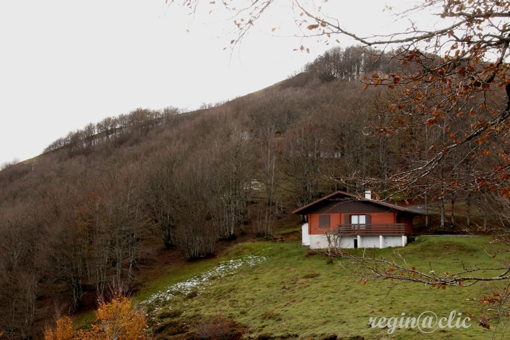 Poudre de neige