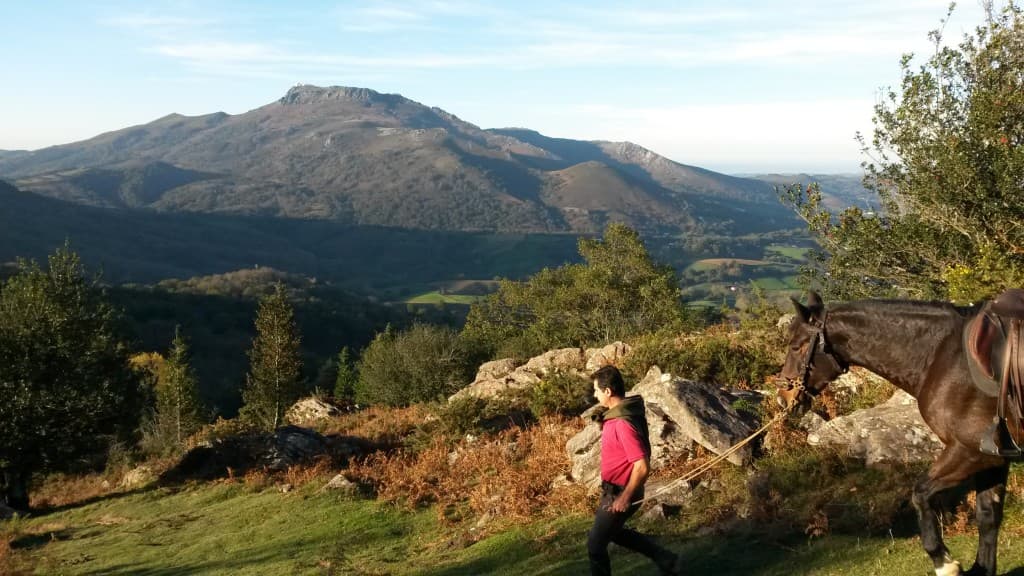 Autour des palombières de Sare
