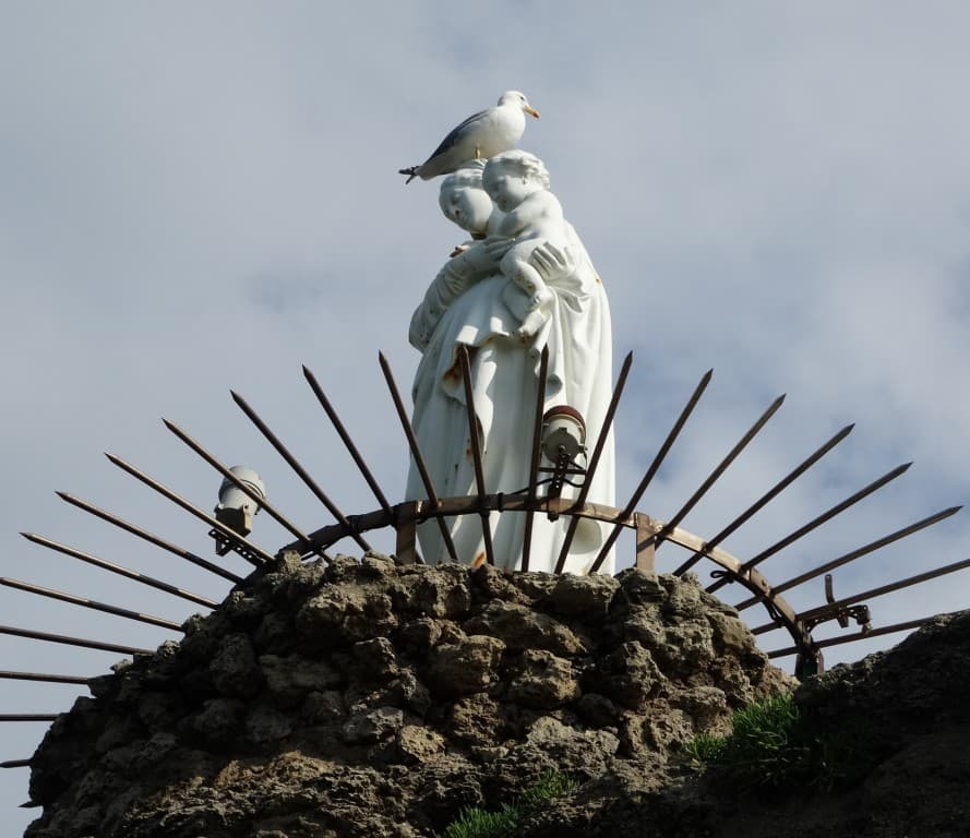 le bien-heureux goéland