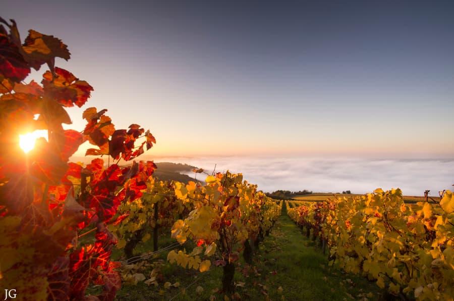 Image d'illustration pour L'été des indiens est-il une particularité américaine?