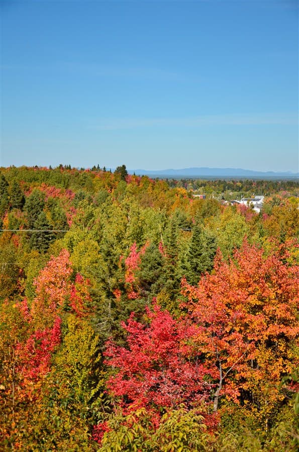 Image d'illustration pour L'été des indiens est-il une particularité américaine?
