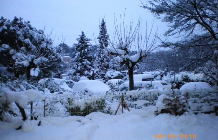 Image d'illustration pour Retour sur l'épisode neigeux exceptionnel de mars 2010 en Méditerranée