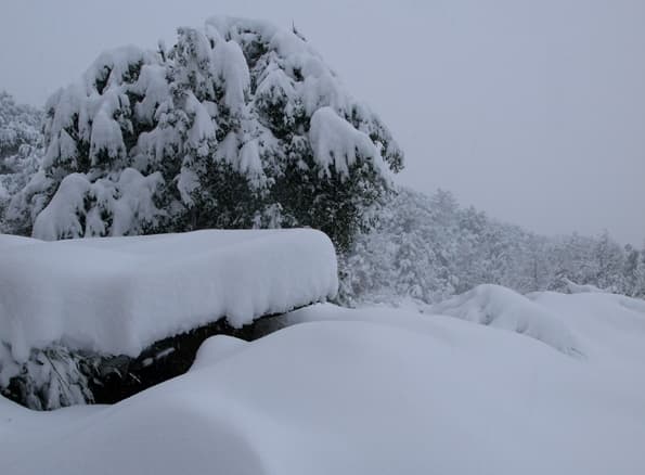 Image d'illustration pour Retour sur l'épisode neigeux exceptionnel de mars 2010 en Méditerranée